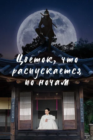 Цветок, что распускается по ночам 1 сезон онлайн