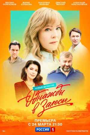 Однажды в Залесье 1 сезон онлайн